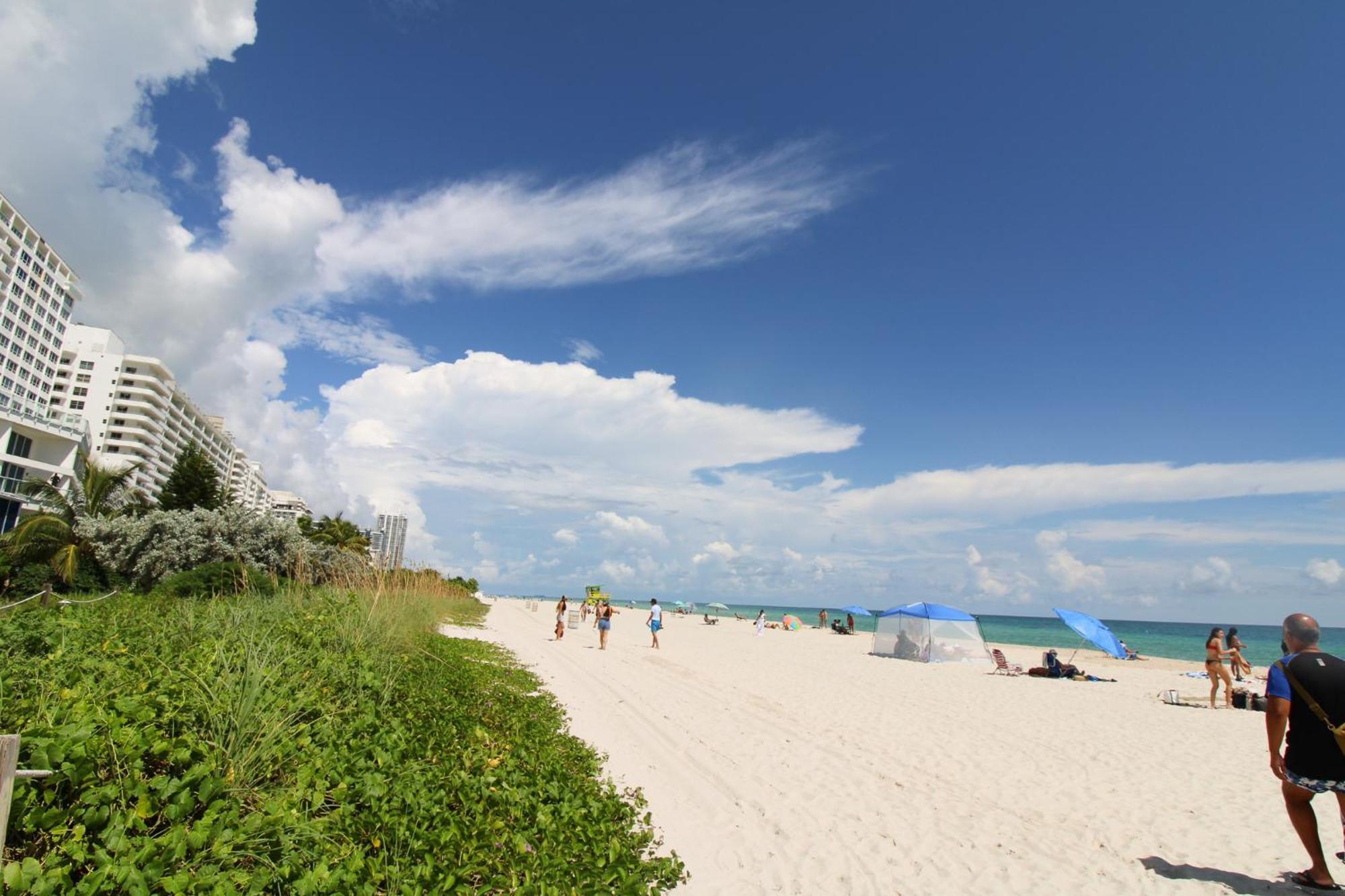 Castle 835 Oceanview Studio On Beach With Pool, Gym, Bars, And Free Parking マイアミビーチ エクステリア 写真